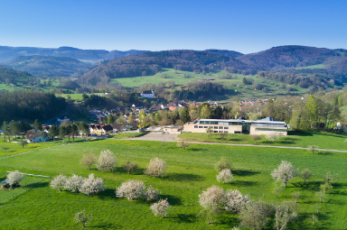 Luftaufnahme Frühling